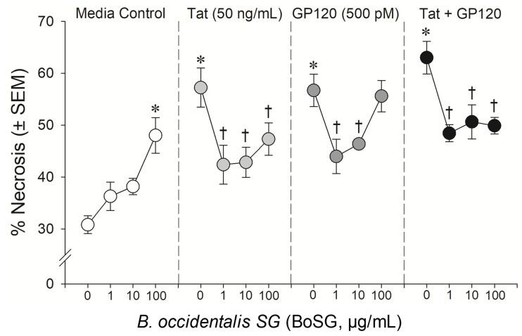 https://cdn.ncbi.nlm.nih.gov/pmc/blobs/eae2/8398392/8916fd267df6/pharmaceuticals-14-00714-g003.jpg