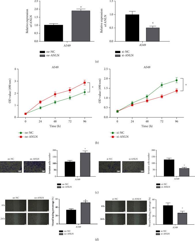 https://cdn.ncbi.nlm.nih.gov/pmc/blobs/eae3/8589480/53c7f6bd5294/CMMM2021-9549287.002.jpg