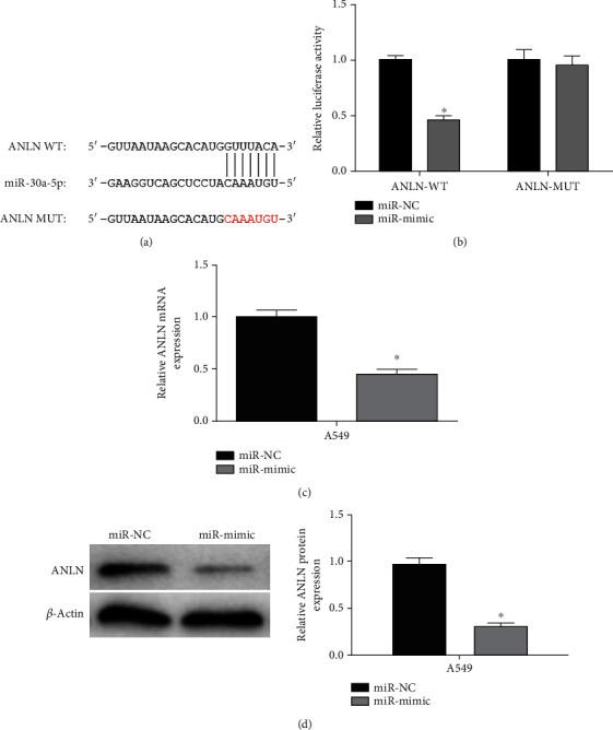 https://cdn.ncbi.nlm.nih.gov/pmc/blobs/eae3/8589480/f4db290728fd/CMMM2021-9549287.004.jpg