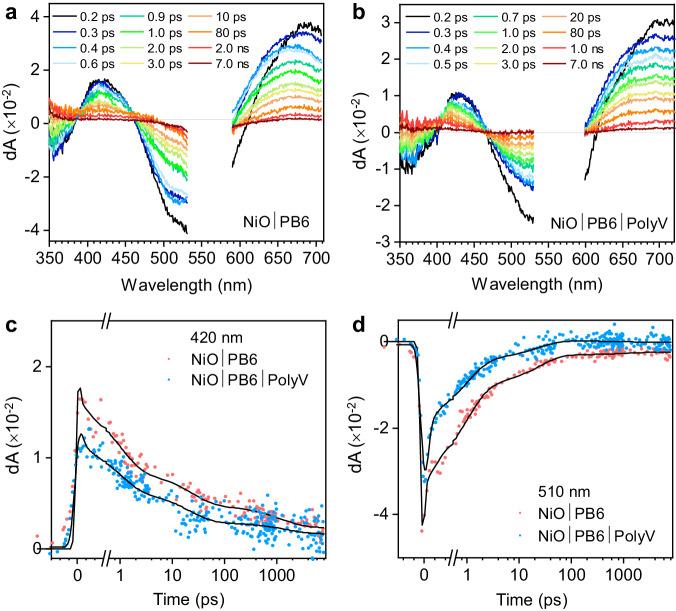 https://cdn.ncbi.nlm.nih.gov/pmc/blobs/eae8/11016092/28bcb8c0477c/41467_2024_47517_Fig4_HTML.jpg
