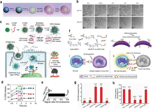 https://cdn.ncbi.nlm.nih.gov/pmc/blobs/eae9/8728817/7183b732b5d3/ADVS-9-2103836-g001.jpg