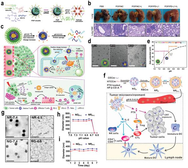 https://cdn.ncbi.nlm.nih.gov/pmc/blobs/eae9/8728817/eedd22736fd1/ADVS-9-2103836-g004.jpg