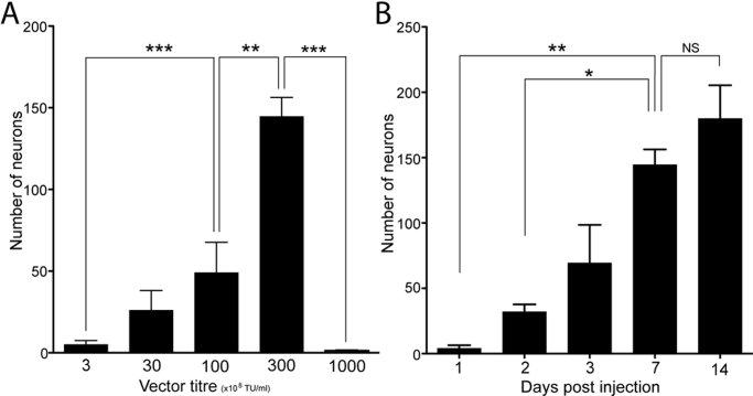 https://cdn.ncbi.nlm.nih.gov/pmc/blobs/eaea/2659361/a5797baa2bbc/cne0512-0141-f4.jpg