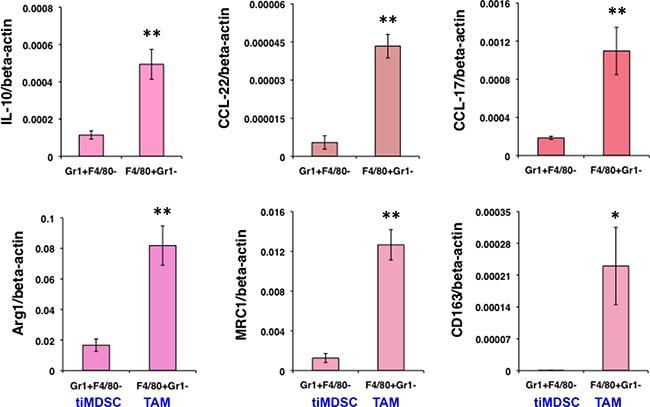 https://cdn.ncbi.nlm.nih.gov/pmc/blobs/eaea/5589571/01573940ff9f/oncotarget-08-54173-g003.jpg