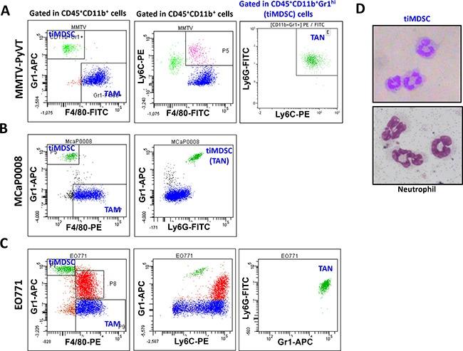https://cdn.ncbi.nlm.nih.gov/pmc/blobs/eaea/5589571/d5cfd26c5a3a/oncotarget-08-54173-g001.jpg