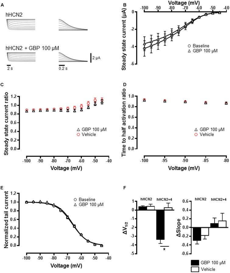 https://cdn.ncbi.nlm.nih.gov/pmc/blobs/eaee/5566583/e51732755ed7/fphar-08-00554-g003.jpg