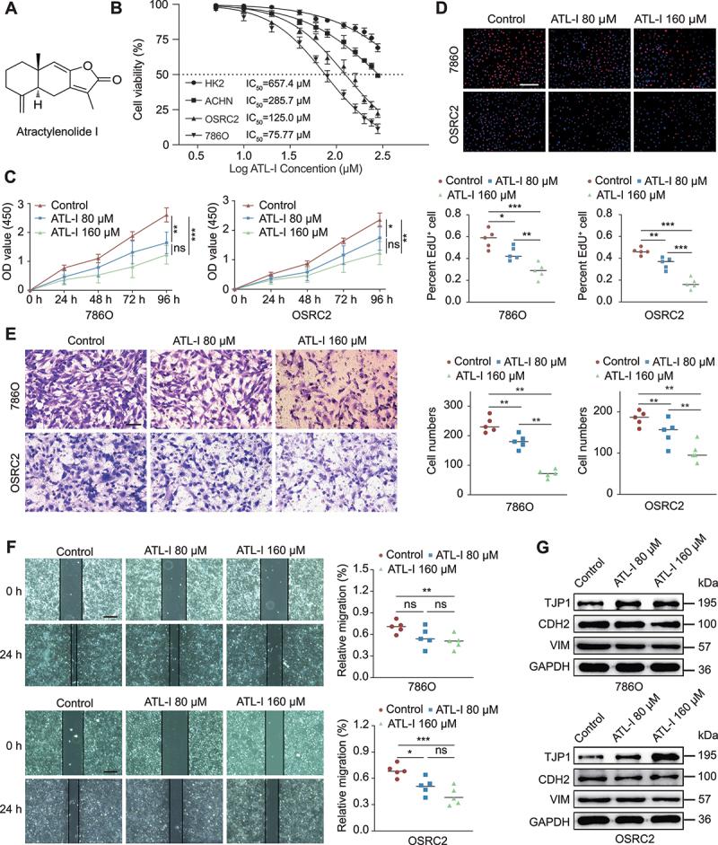 https://cdn.ncbi.nlm.nih.gov/pmc/blobs/eaef/11849937/1a8e03cec3c7/KAUP_A_2421699_F0001_C.jpg