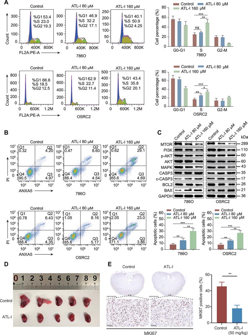 https://cdn.ncbi.nlm.nih.gov/pmc/blobs/eaef/11849937/2c34ec11f000/KAUP_A_2421699_F0002_C.jpg