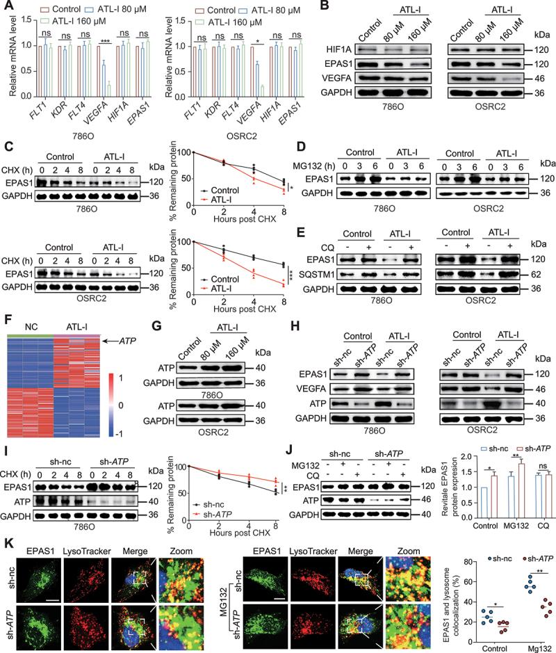https://cdn.ncbi.nlm.nih.gov/pmc/blobs/eaef/11849937/b47176df5fc3/KAUP_A_2421699_F0004_C.jpg