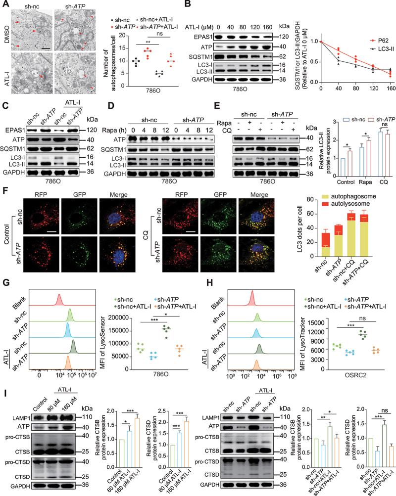 https://cdn.ncbi.nlm.nih.gov/pmc/blobs/eaef/11849937/ee3f8ffbcefa/KAUP_A_2421699_F0006_C.jpg