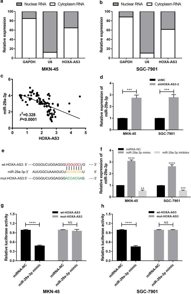 https://cdn.ncbi.nlm.nih.gov/pmc/blobs/eaef/7890634/cd00668801e9/12935_2021_1827_Fig4_HTML.jpg