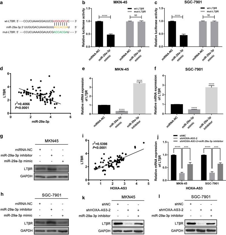 https://cdn.ncbi.nlm.nih.gov/pmc/blobs/eaef/7890634/ded3b6bf9372/12935_2021_1827_Fig5_HTML.jpg