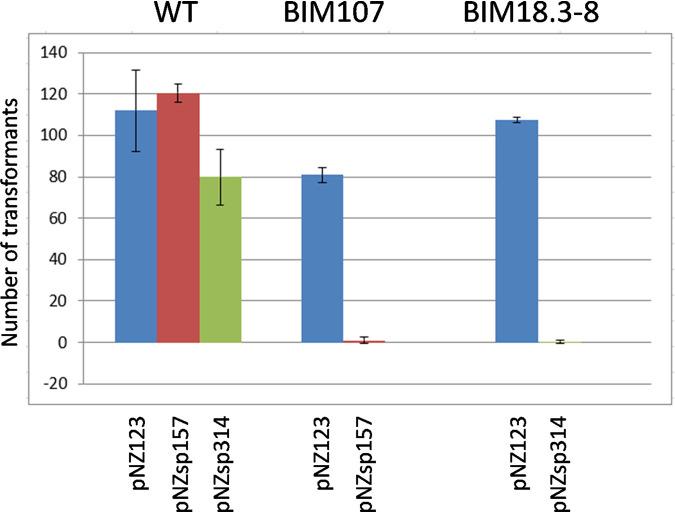 https://cdn.ncbi.nlm.nih.gov/pmc/blobs/eaf0/8265633/76987a0441f9/msphere.00185-21-f004.jpg