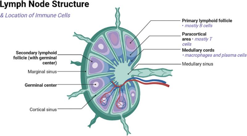 https://cdn.ncbi.nlm.nih.gov/pmc/blobs/eaf1/10735087/b564b664248e/as9-4-e336-g001.jpg