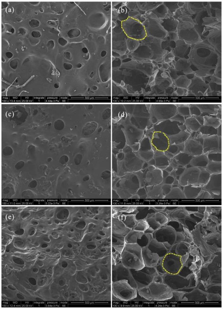 https://cdn.ncbi.nlm.nih.gov/pmc/blobs/eaf1/7694691/b68f21d46ef1/polymers-12-02612-g003.jpg