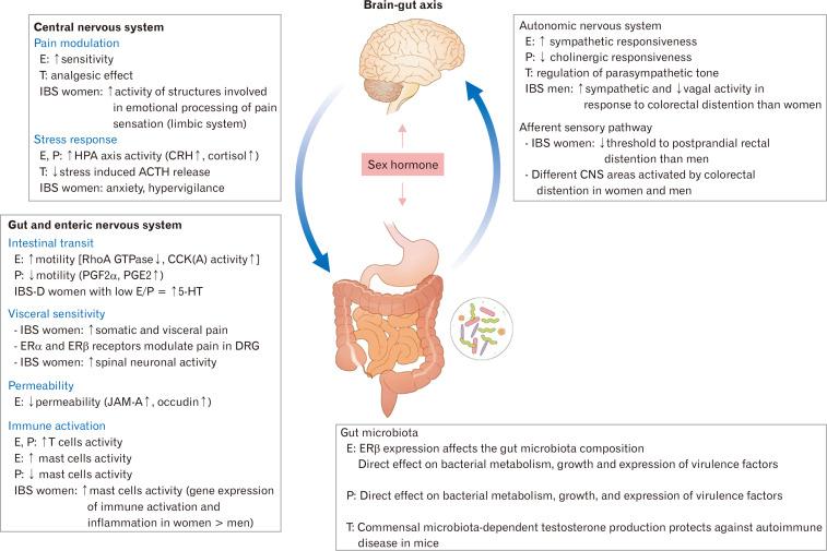 https://cdn.ncbi.nlm.nih.gov/pmc/blobs/eaf1/8266488/9595ab1b287a/jnm-27-3-314-f4.jpg