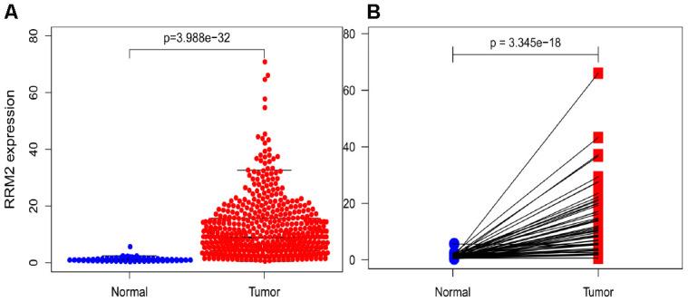 https://cdn.ncbi.nlm.nih.gov/pmc/blobs/eaf2/7906179/eed482eeac9a/aging-13-202292-g001.jpg