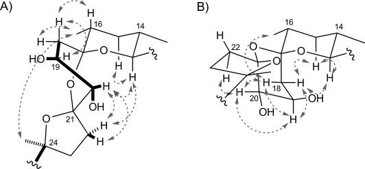 https://cdn.ncbi.nlm.nih.gov/pmc/blobs/eaf3/4515104/73e616053a03/cbic0015-2081-f2.jpg