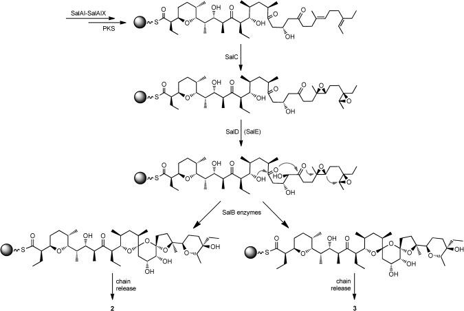 https://cdn.ncbi.nlm.nih.gov/pmc/blobs/eaf3/4515104/77ef4f4e3b54/cbic0015-2081-f3.jpg