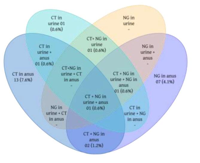 https://cdn.ncbi.nlm.nih.gov/pmc/blobs/eaf4/10895759/925e6b7a2460/12879_2024_9144_Fig2_HTML.jpg