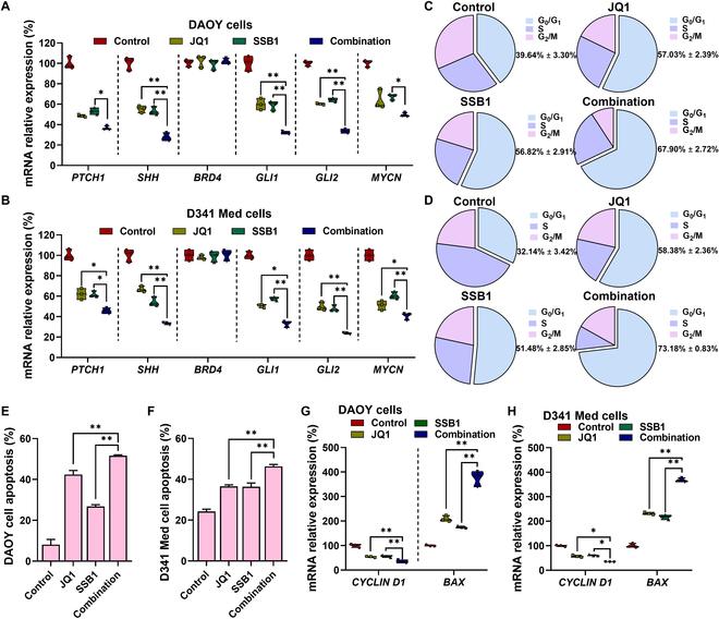 https://cdn.ncbi.nlm.nih.gov/pmc/blobs/eaf5/12332260/22f20e13b6f9/bmr.0237.fig.001.jpg