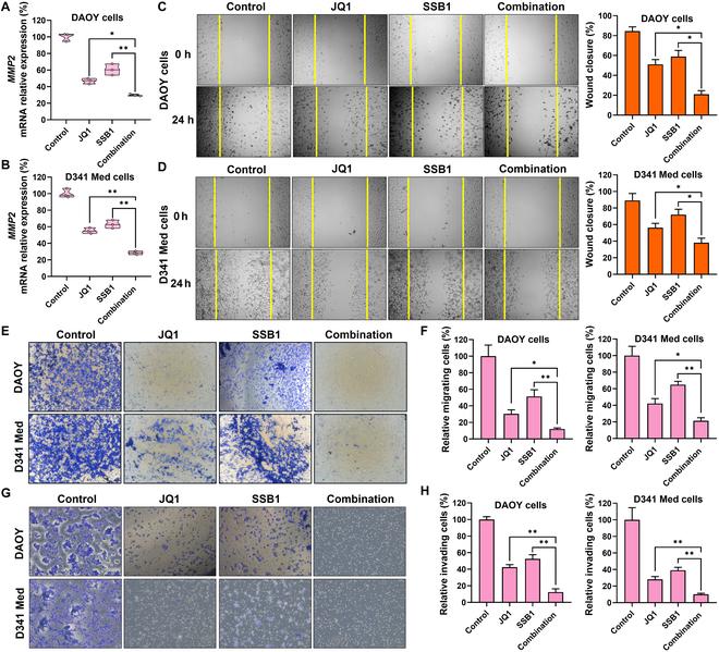 https://cdn.ncbi.nlm.nih.gov/pmc/blobs/eaf5/12332260/3cf65465a3e6/bmr.0237.fig.004.jpg