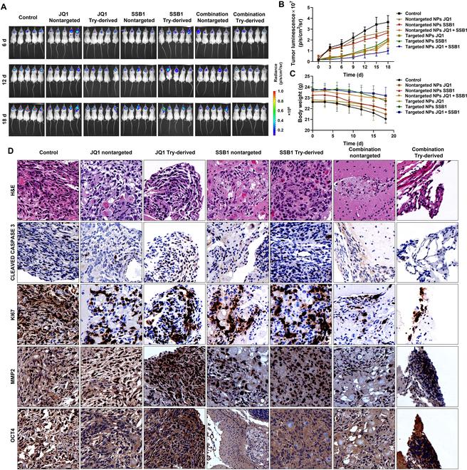 https://cdn.ncbi.nlm.nih.gov/pmc/blobs/eaf5/12332260/64d400f4221c/bmr.0237.fig.007.jpg