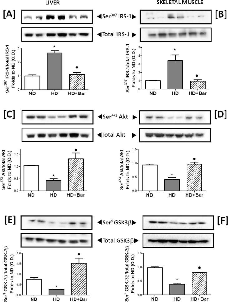 https://cdn.ncbi.nlm.nih.gov/pmc/blobs/eaf5/7267733/df8732055425/gr4.jpg