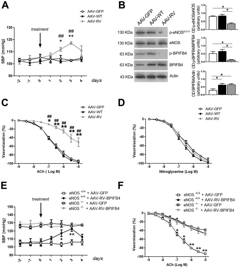 https://cdn.ncbi.nlm.nih.gov/pmc/blobs/eaf7/5574984/12ecfb5bddb7/41598_2017_10341_Fig2_HTML.jpg