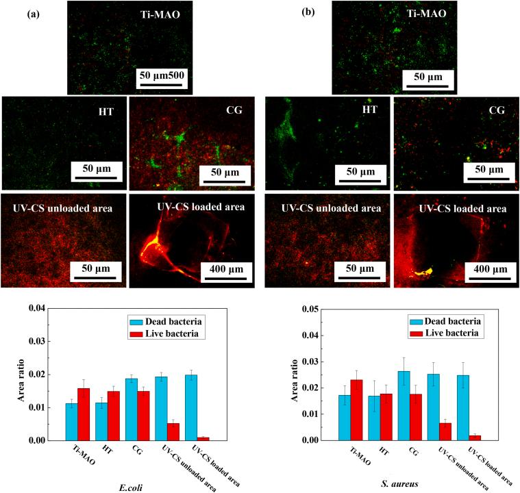 https://cdn.ncbi.nlm.nih.gov/pmc/blobs/eaf7/9399291/1cbc554aa760/gr6.jpg