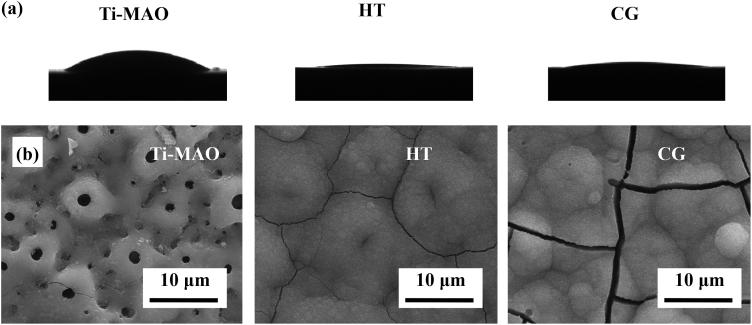 https://cdn.ncbi.nlm.nih.gov/pmc/blobs/eaf7/9399291/b1b4f6484f6b/gr3.jpg
