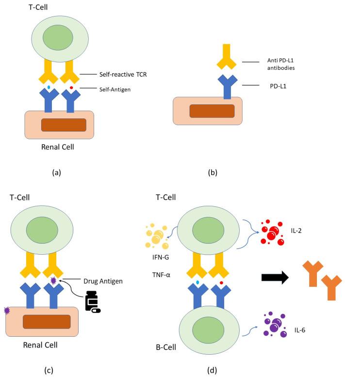 https://cdn.ncbi.nlm.nih.gov/pmc/blobs/eaf9/10778678/331e8497264b/ijms-25-00414-g001.jpg