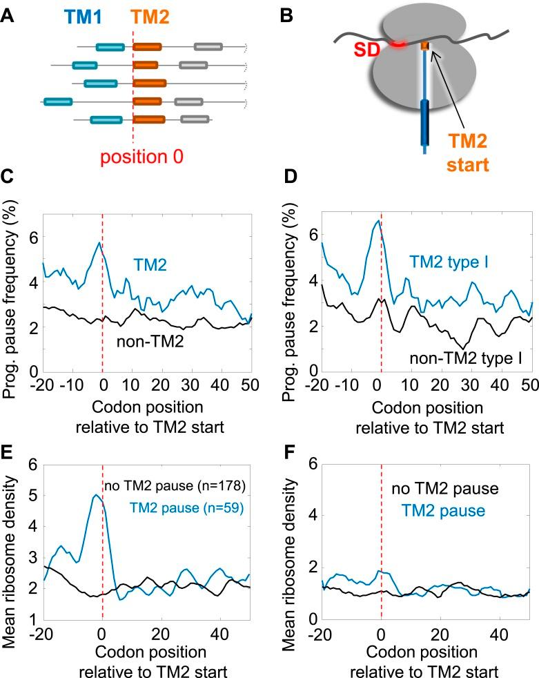 https://cdn.ncbi.nlm.nih.gov/pmc/blobs/eaf9/4359368/0c8e32785190/elife03440f002.jpg