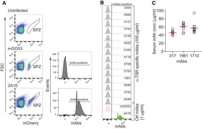 https://cdn.ncbi.nlm.nih.gov/pmc/blobs/eafa/10245032/4dbcb5240a10/EMMM-15-e17454-g002.jpg