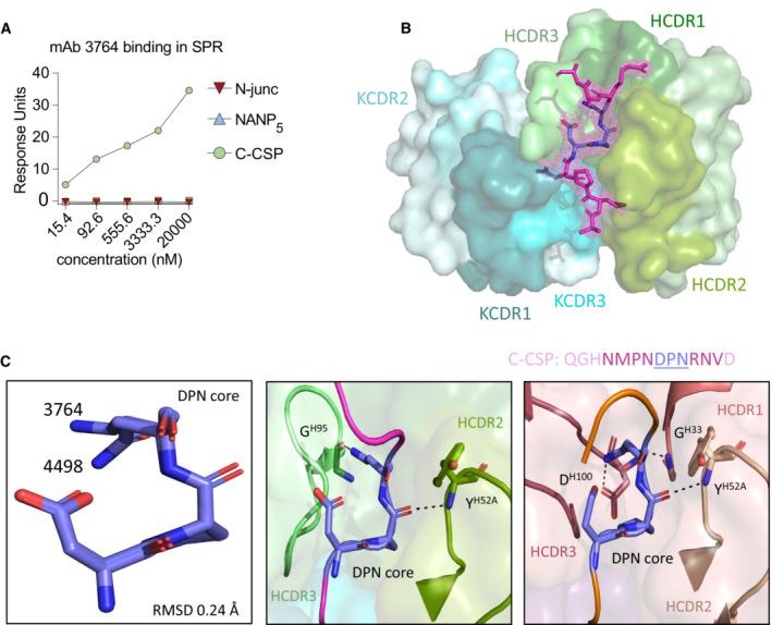 https://cdn.ncbi.nlm.nih.gov/pmc/blobs/eafa/10245032/8df88df75ead/EMMM-15-e17454-g008.jpg