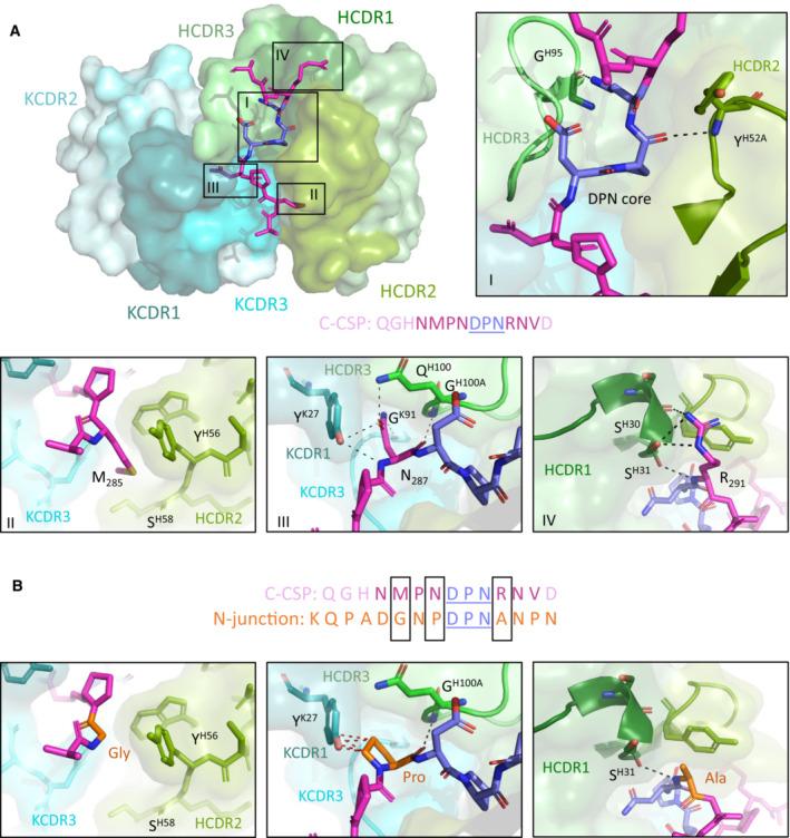 https://cdn.ncbi.nlm.nih.gov/pmc/blobs/eafa/10245032/ecf5092ce102/EMMM-15-e17454-g009.jpg