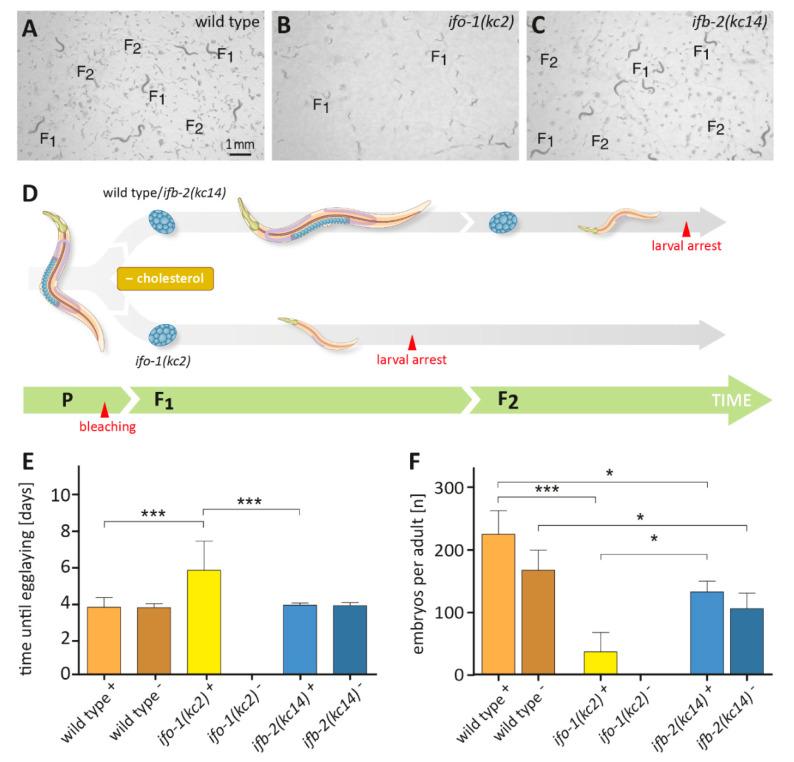 https://cdn.ncbi.nlm.nih.gov/pmc/blobs/eafc/7672635/56fdbe96e3da/ijms-21-08219-g002.jpg