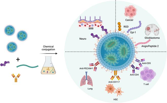 https://cdn.ncbi.nlm.nih.gov/pmc/blobs/eafd/11185168/1d98734962d0/research.0370.fig.007.jpg