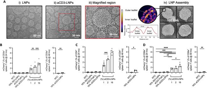 https://cdn.ncbi.nlm.nih.gov/pmc/blobs/eafd/11185168/1e8d21c45f9a/research.0370.fig.008.jpg