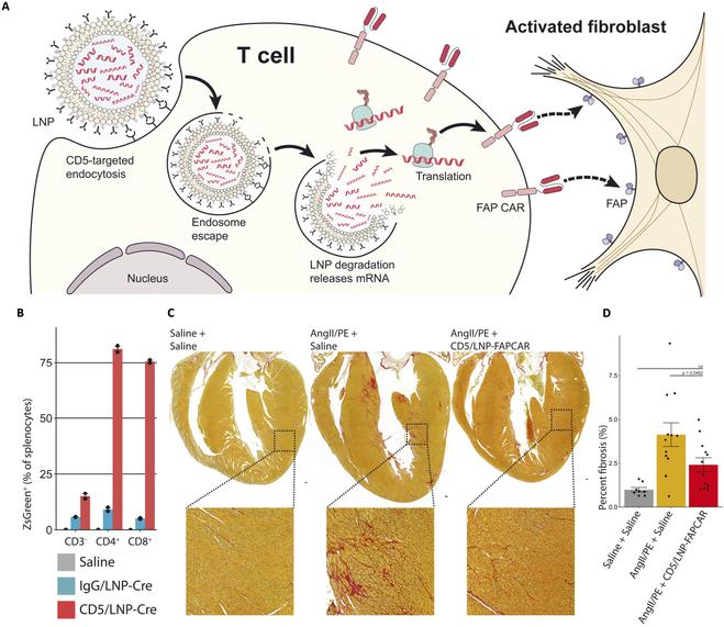 https://cdn.ncbi.nlm.nih.gov/pmc/blobs/eafd/11185168/2429b6de80a5/research.0370.fig.009.jpg