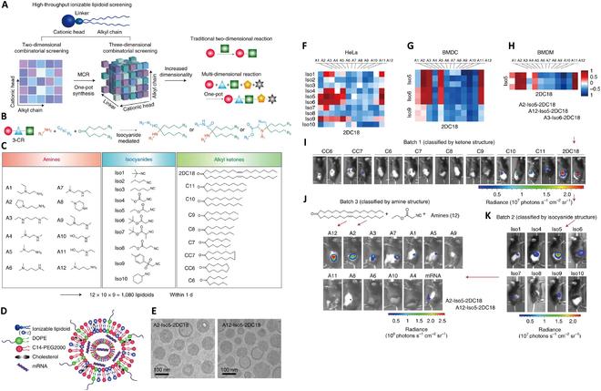 https://cdn.ncbi.nlm.nih.gov/pmc/blobs/eafd/11185168/420c99921d2e/research.0370.fig.003.jpg