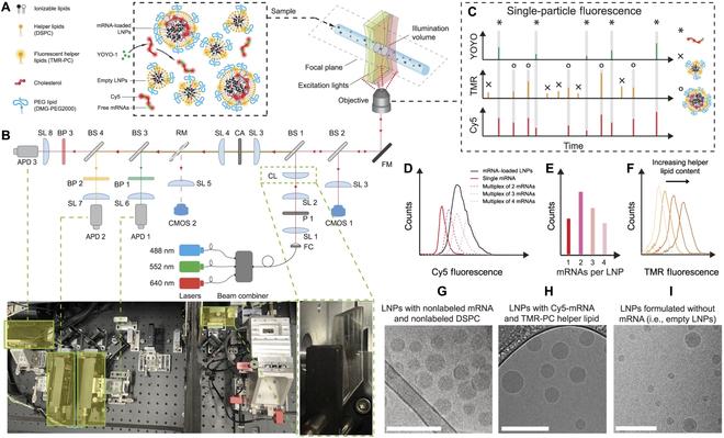 https://cdn.ncbi.nlm.nih.gov/pmc/blobs/eafd/11185168/56c963ea5e58/research.0370.fig.011.jpg