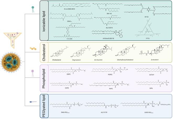 https://cdn.ncbi.nlm.nih.gov/pmc/blobs/eafd/11185168/961c1cf30002/research.0370.fig.002.jpg