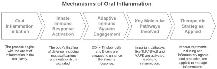 https://cdn.ncbi.nlm.nih.gov/pmc/blobs/eafe/11988662/c56e4fa2b00a/ijms-26-03031-g001.jpg