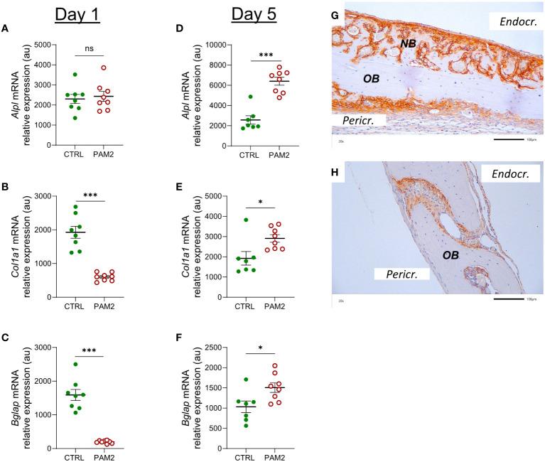 https://cdn.ncbi.nlm.nih.gov/pmc/blobs/eb00/11026618/5f0f399a5580/fimmu-15-1383113-g007.jpg