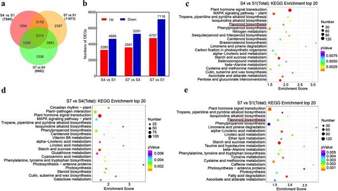 https://cdn.ncbi.nlm.nih.gov/pmc/blobs/eb01/10933707/00e420f675fc/uhae031f4.jpg