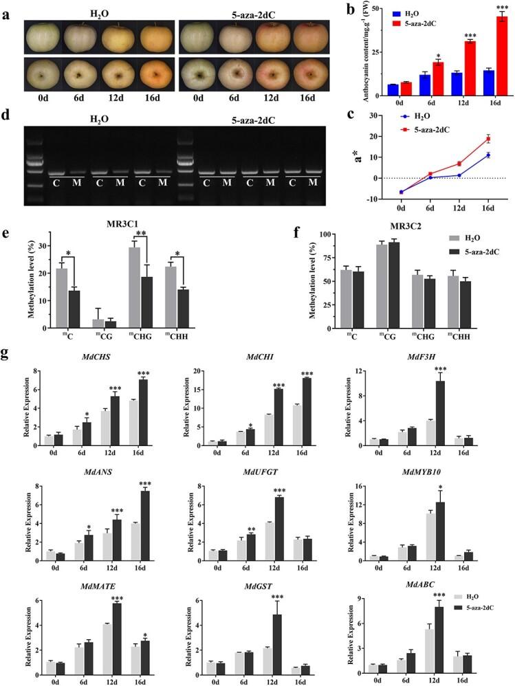 https://cdn.ncbi.nlm.nih.gov/pmc/blobs/eb01/10933707/06c510ee6a34/uhae031f8.jpg