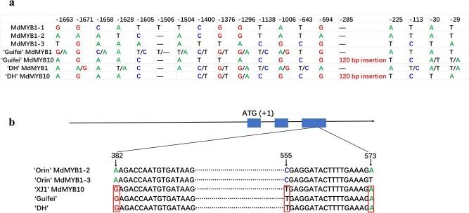 https://cdn.ncbi.nlm.nih.gov/pmc/blobs/eb01/10933707/1d8ae6f0af17/uhae031f1.jpg