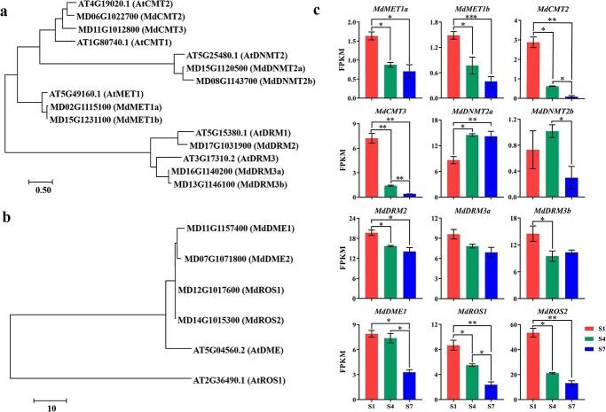 https://cdn.ncbi.nlm.nih.gov/pmc/blobs/eb01/10933707/e32685ec55e7/uhae031f9.jpg