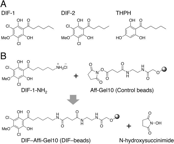https://cdn.ncbi.nlm.nih.gov/pmc/blobs/eb01/5613964/490c35fcabf2/gr1.jpg